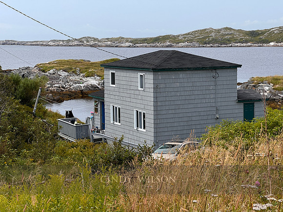 Home by the Sea, Rose Blanche, 2024