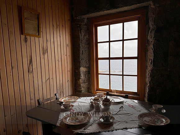 Interior, Rose Blanche, 2024