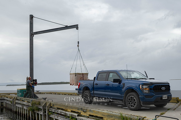 Off Loading, Black Duck Cove, 2024