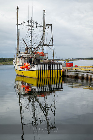 TJ Vinson, Black Duck Cove, 2024