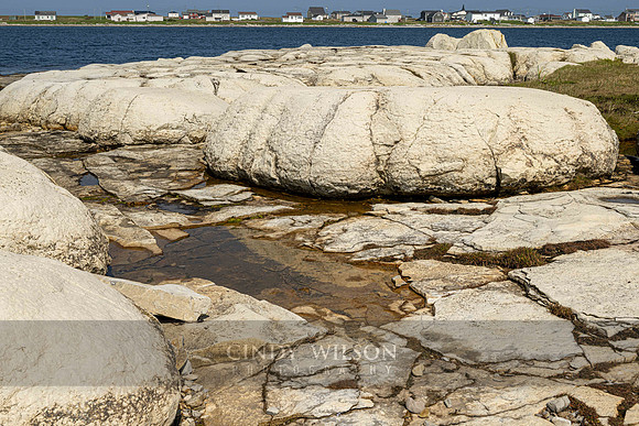 Thrombolite, Flower Cove, 2024