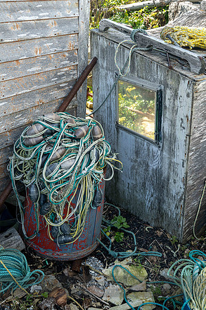 Spare Parts, Flowers Cove, 2024