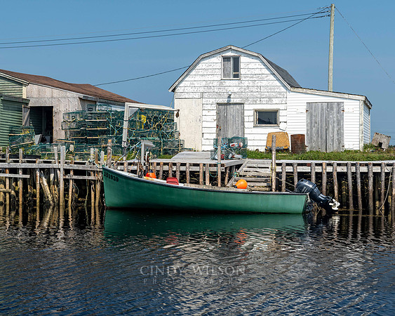 Green Punt, Flowers Cove, 2024