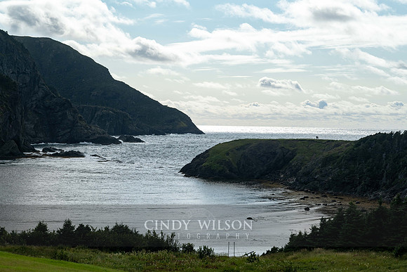Bottle Cove Coastline, 2024