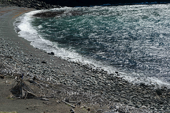Bottle Cove Tides, 2024