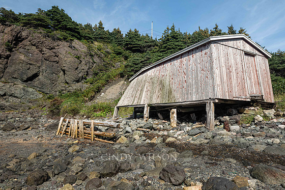 Exiting Stage, Lark Harbor, 2024