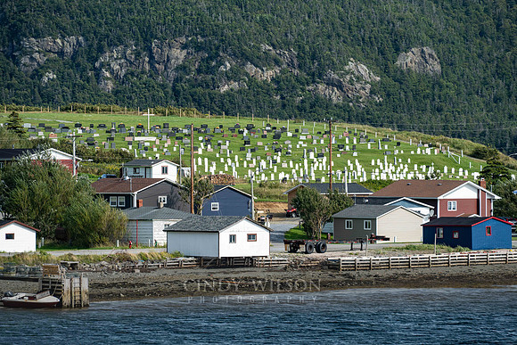 Lark harbor with Cemetery, 2024