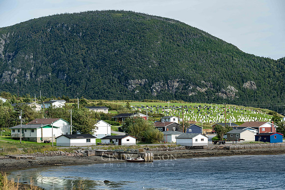Lark Harbor View, 2024