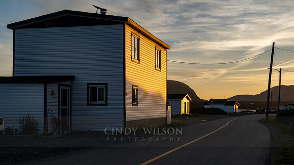 Evening Light, Lark Harbor, 2024