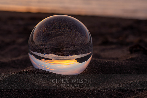 Bottle View of Bottle Cove, 2024