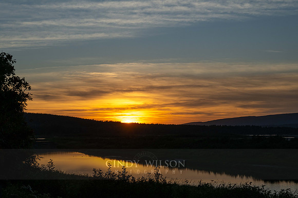 Sunset, Corduroy, 2024