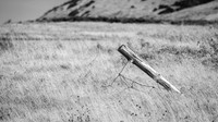 Resistance in a Meadow Cape Anguille, NFLD