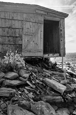 Tripod, Codroy Harbor, 2024