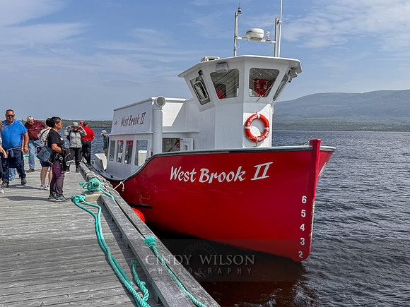 Excursion Boat, Western Brook, 2024