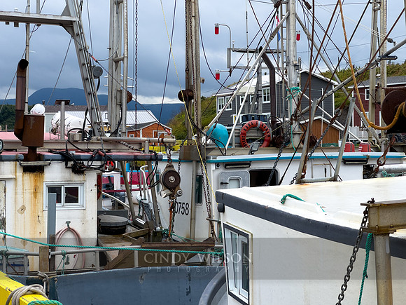Fishing Fleet, Trout River, 2024