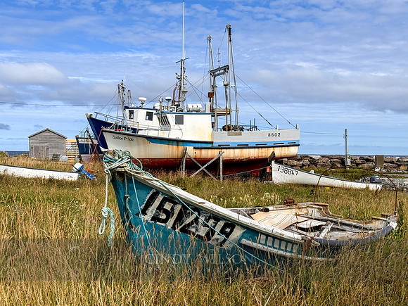 Like Fish out of Water, Cow Head, 2024