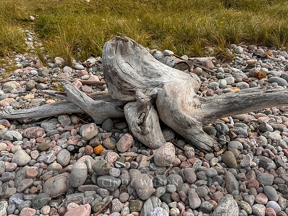 Seated Torso, Arches Provincial Park, Newfoundland