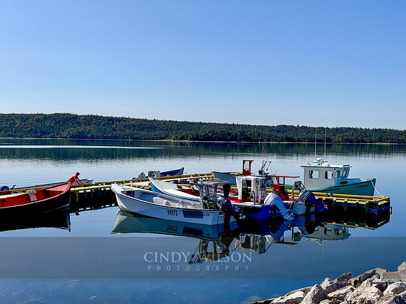 Port Saunders Reflections, 2024