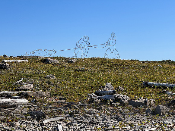 Art Installation, Flowers Cove, 2024