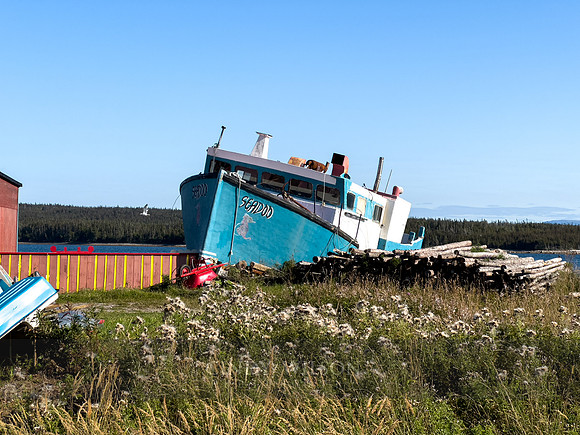 Seadoo Ashore, Port Saunders, 2024