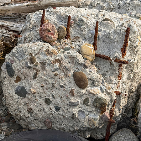 Embedded in Concrete