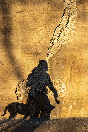 Shadow Walking