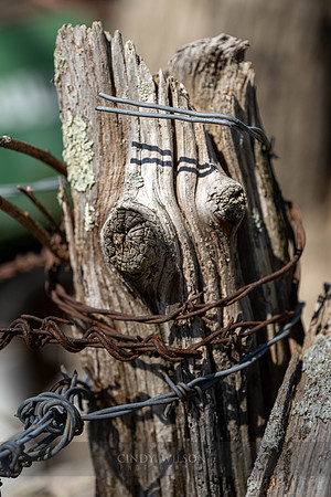 Breaking Chains