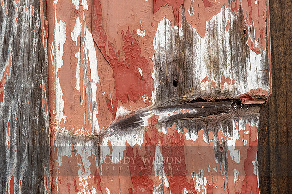 Design in a Wooden Door