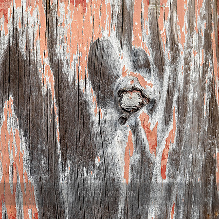 Wooden Eye