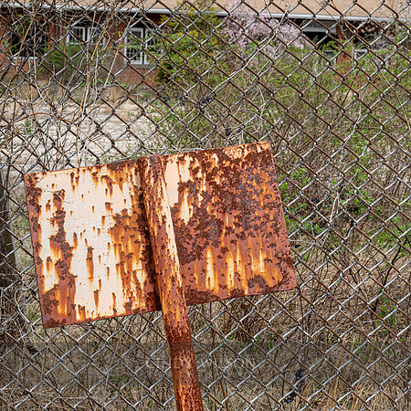 Rust Watch