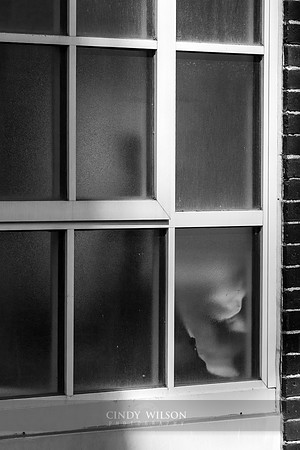 Beyond the Frosted Glass