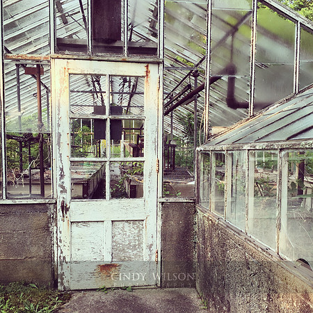 Greenhouse, North Kingstown