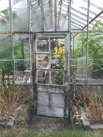 Greenhouse, North Kingstown