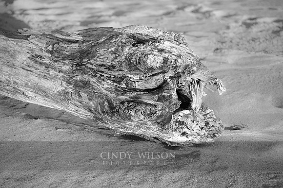 Wood Creature