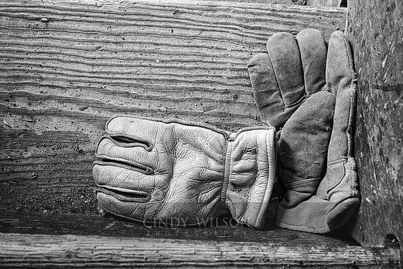 Empty Hands