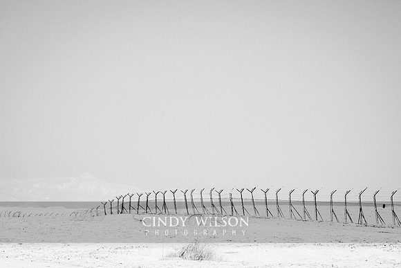 Security Fencing