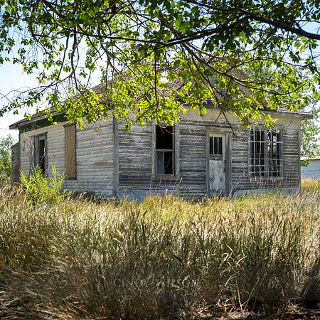 Abandoned Cottage, Scenic