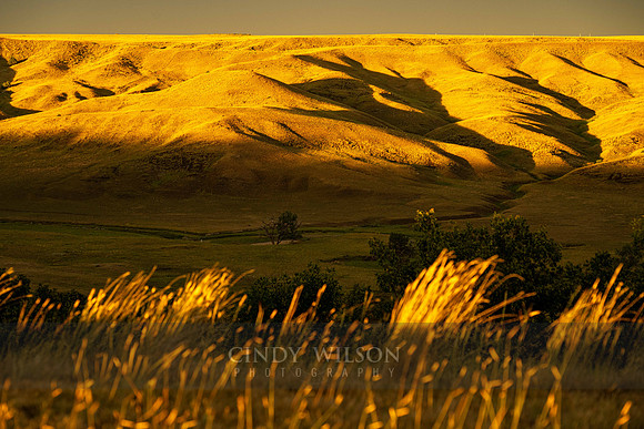 Magic Light on the Mesa