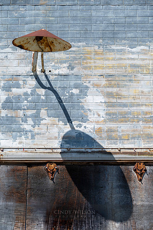 Light and Shadow, Scenic SD