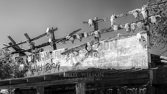 Skulls Atop the Longhorn Saloon