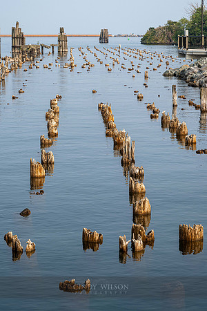 Old Pilings, Marquette