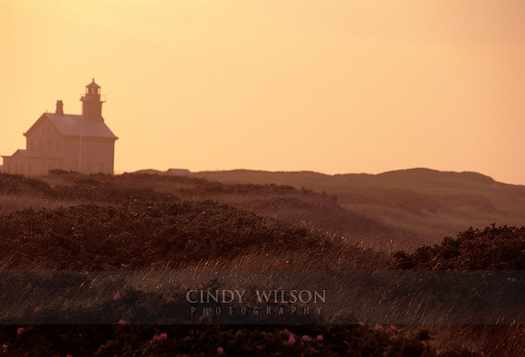 Golden Light, Block Island