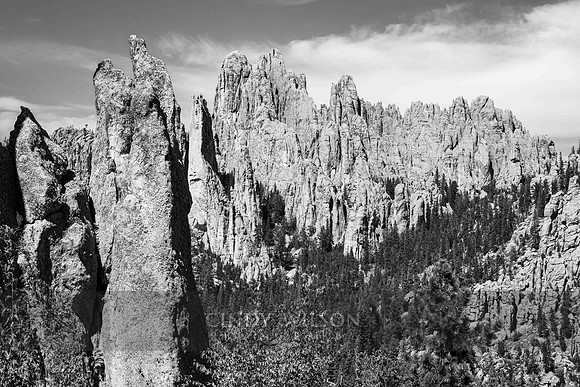 Needle Drive Vista