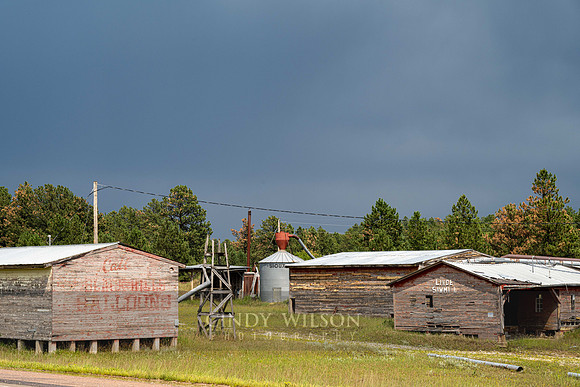 Black Hills Balloons, Custer, SD