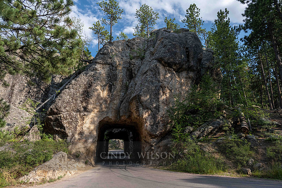 Tunnel, Needle Drive, SD