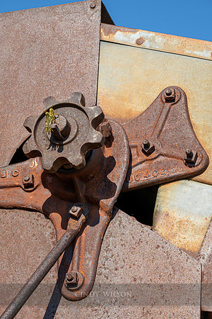 Playing Mantis', Tractor Museum, South Dakota