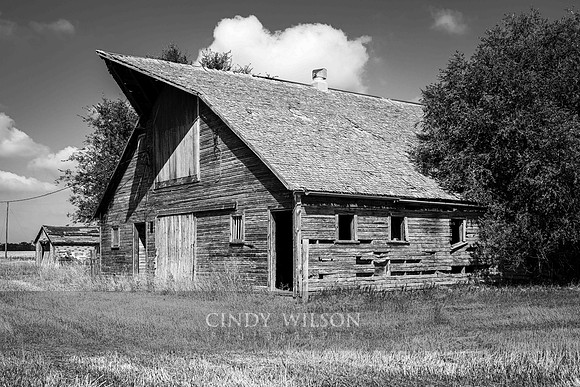Abandoned Barn, SD