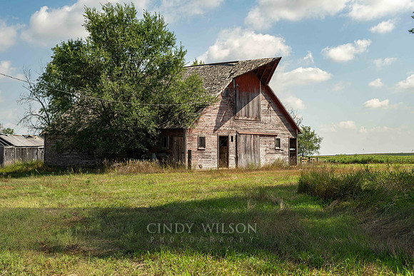 South Dakota Cow Barn