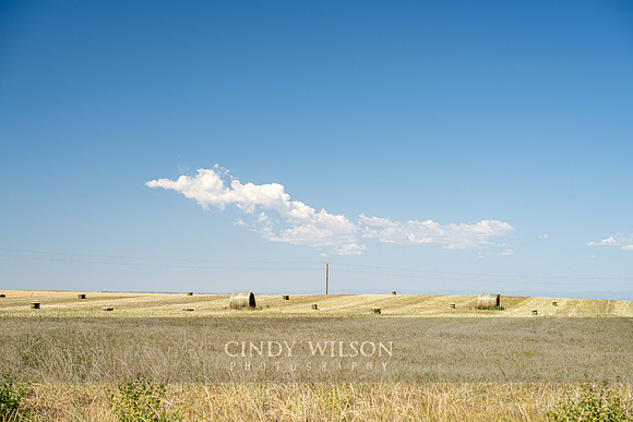 Prairie Fields