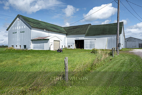 Osborn Dairy Barn